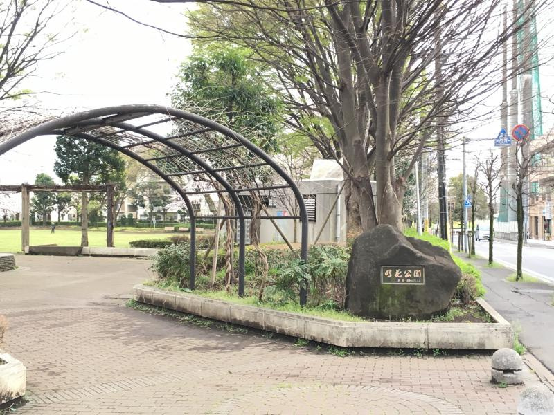 の画像