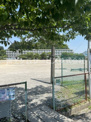 掛川市立桜木小学校