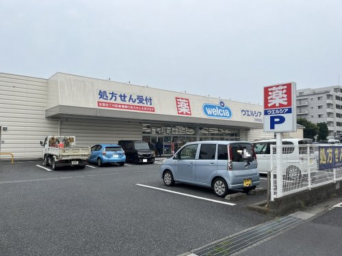 の画像