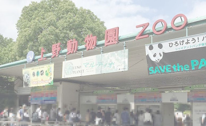 上野動物園の画像1