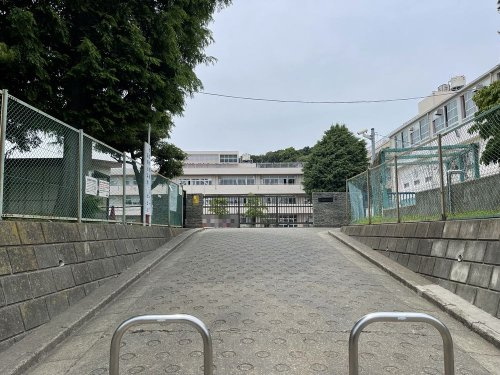 の画像