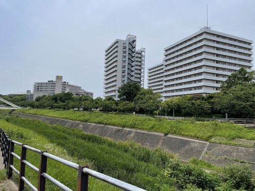 の画像