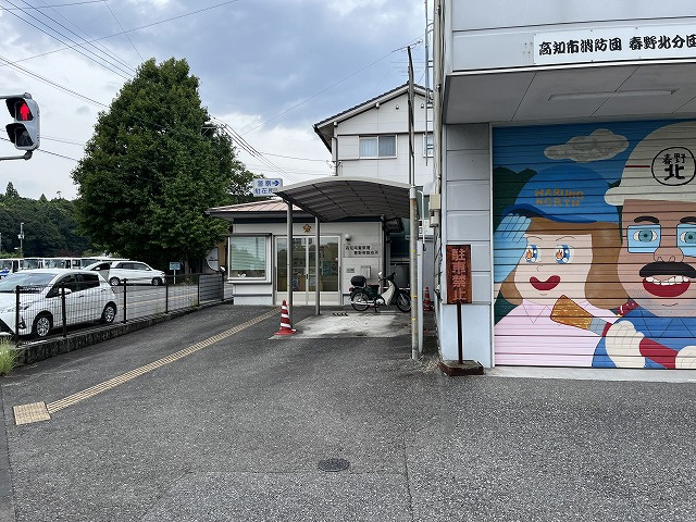 の画像