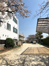 いずみ幼稚園の画像1