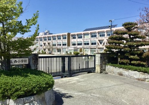 の画像