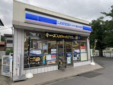 ローソン・スリーエフ こどもの国の画像1