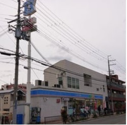 の画像