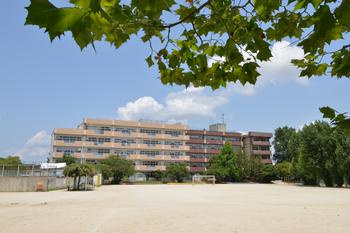 松戸市立河原塚小学校の画像1