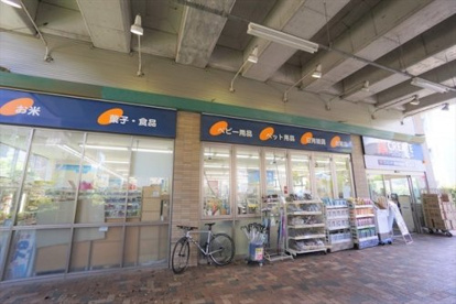 クリエイトSD(エス・ディー) 世田谷経堂店の画像3