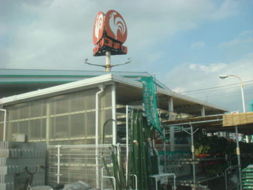コメリ伊勢崎店の画像1