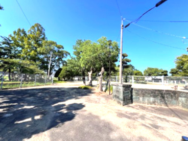 徳島文化公園の画像1