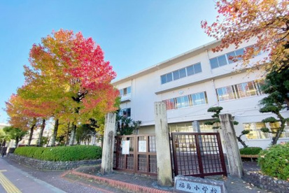 徳島市立福島小学校の画像1