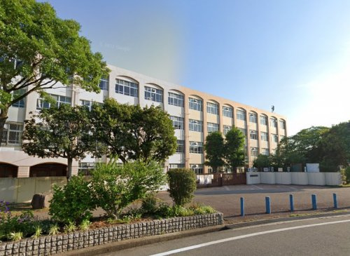 の画像