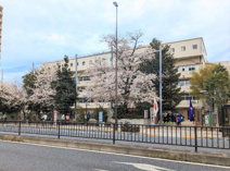 文京区立 窪町小学校
