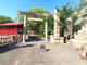 川原神社の画像
