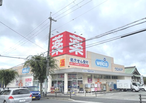 の画像