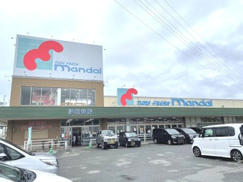の画像
