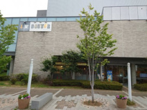 ドトールコーヒーショップ 千葉市中央図書館・生涯学習センター店