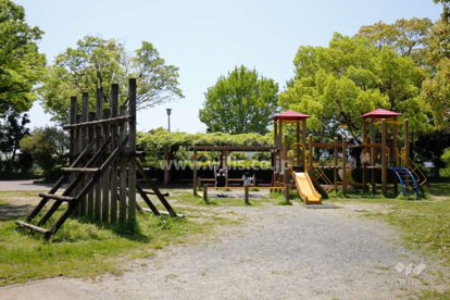 山手台中央公園の画像1