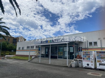 袋井B&G海洋センターの画像1