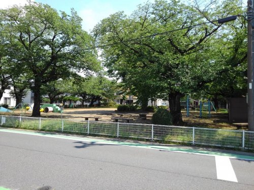 の画像
