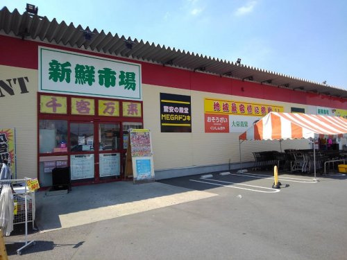 の画像