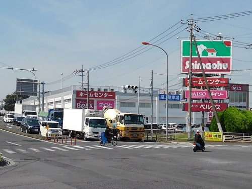 の画像