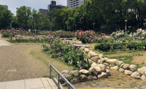 靭公園
