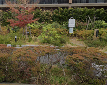 公園 大田区立女堀緑地