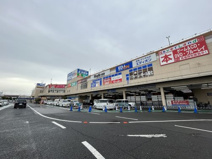 コーナンPRO 堺インター店