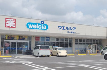 ウエルシア岡山東畦店