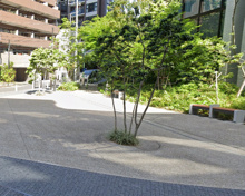 恵比寿しんばし公園