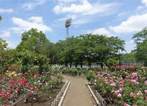 光綾公園