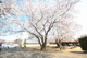 神山公園の画像