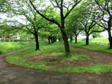 台田運動公園
