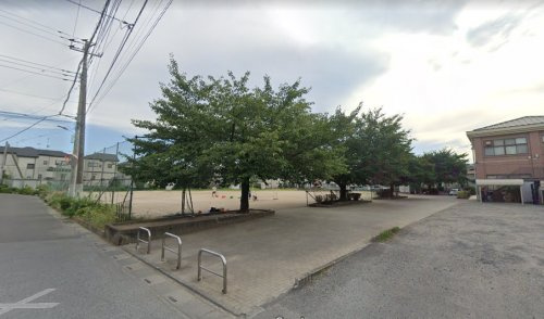 の画像