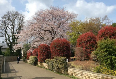 亀塚公園の画像1