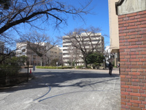 日本女子大学
