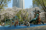 公園 新宿中央公園