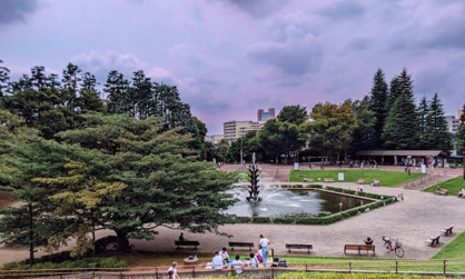 世田谷公園の画像1