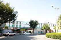 成瀬