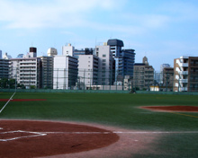 落合中央公園 野球場