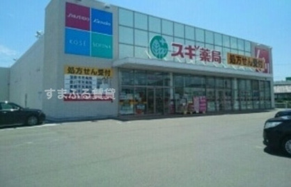 スギドラッグ 竹谷店の画像1