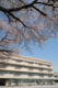 西東京市立谷戸第二小学校の画像
