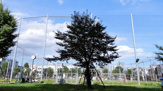 スポーツ施設 本五ふれあい公園多目的運動場