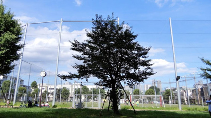 本五ふれあい公園多目的運動場の画像1