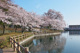 三ツ寺公園の画像