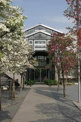 保育園 玉川保育園