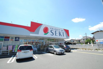 ドラッグストアセキ下安松店