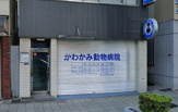 かわかみ動物病院